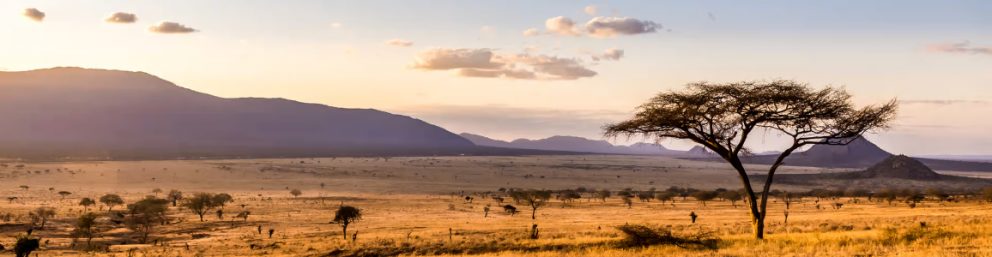 Afrique